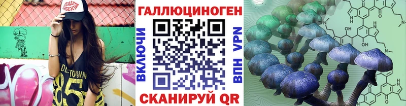 где продают   Дудинка  мега ТОР  Псилоцибиновые грибы Psilocybe 